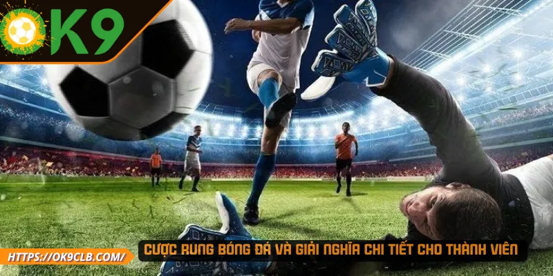 Cược rung bóng đá và giải nghĩa chi tiết cho thành viên