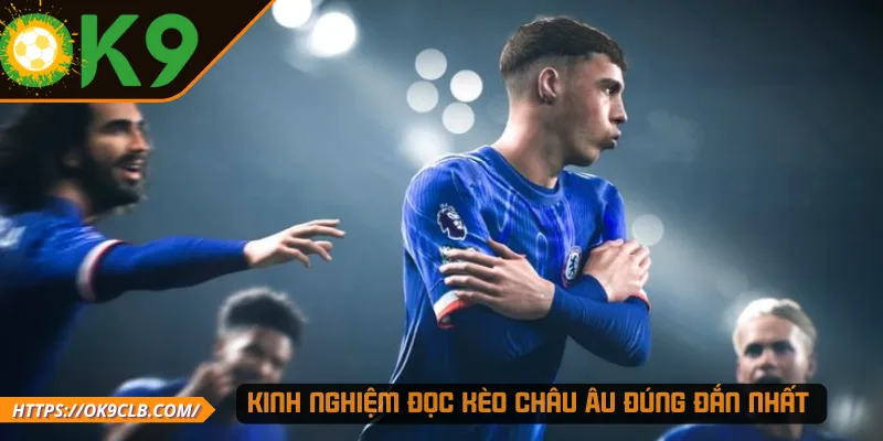 Kinh nghiệm đọc kèo châu Âu đúng đắn nhất 