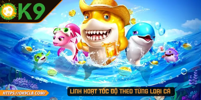 Linh hoạt tốc độ theo từng loại cá