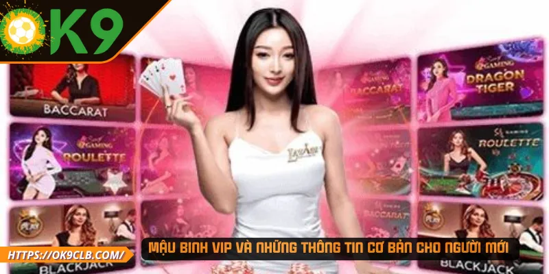 Mậu binh VIP và những thông tin cơ bản cho người mới