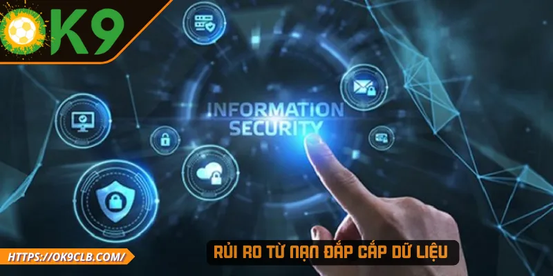 Rủi ro từ nạn đắp cắp dữ liệu