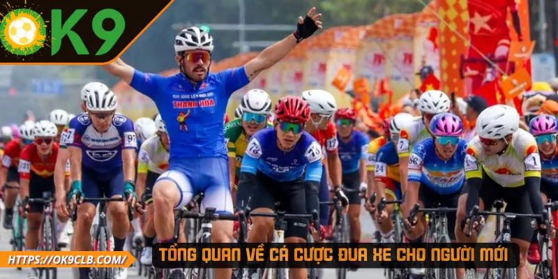 Tổng quan về cá cược đua xe cho người mới