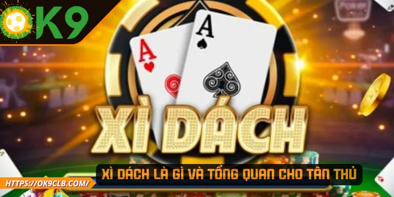 Xì dách là gì và tổng quan cho tân thủ