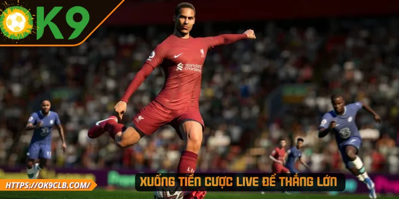Xuống tiền cược Live để thắng lớn